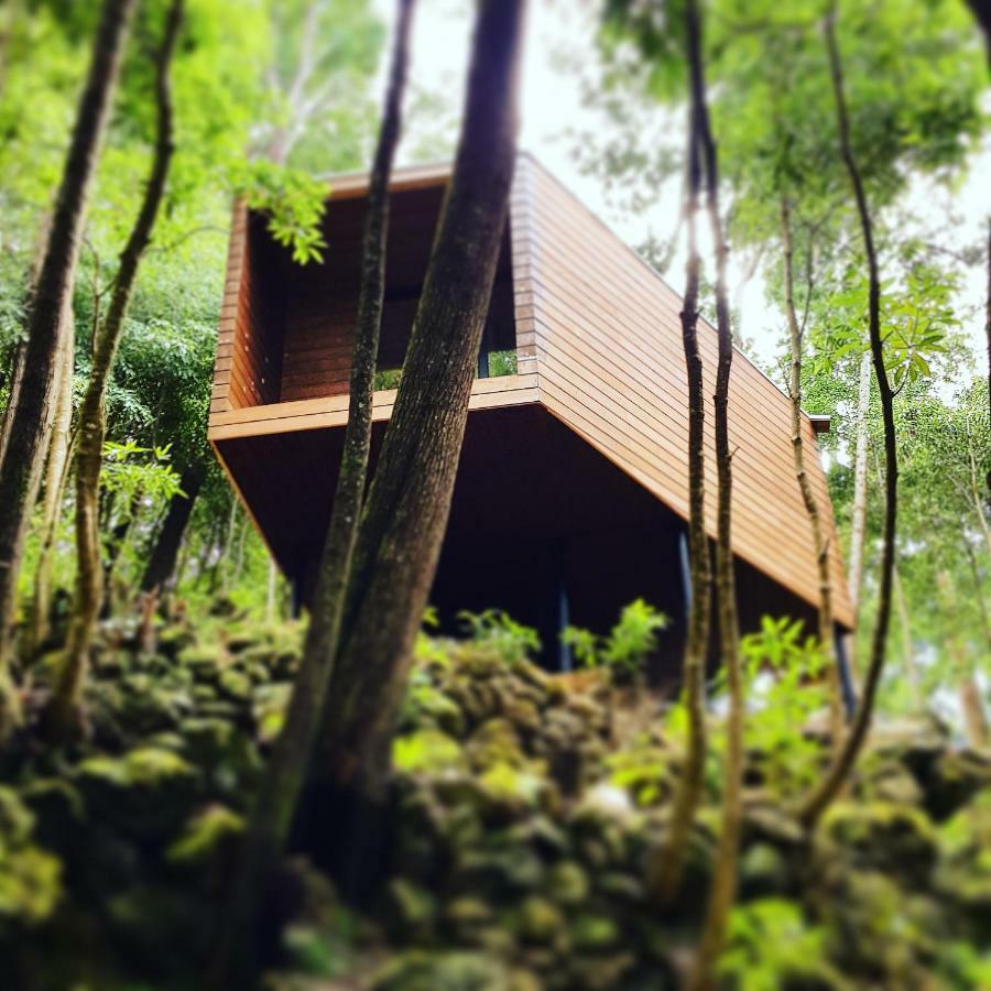 Biscoitos  Caparica Azores Ecolodge מראה חיצוני תמונה