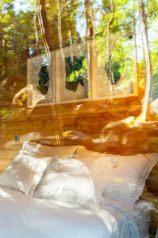 Biscoitos  Caparica Azores Ecolodge מראה חיצוני תמונה