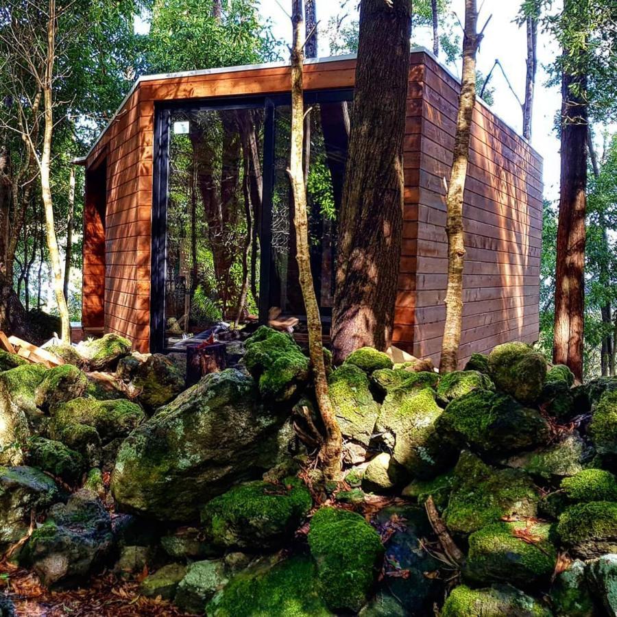 Biscoitos  Caparica Azores Ecolodge מראה חיצוני תמונה