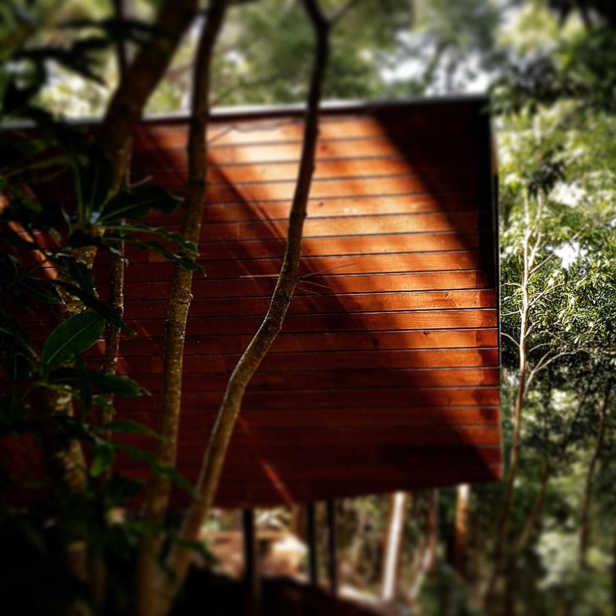 Biscoitos  Caparica Azores Ecolodge מראה חיצוני תמונה