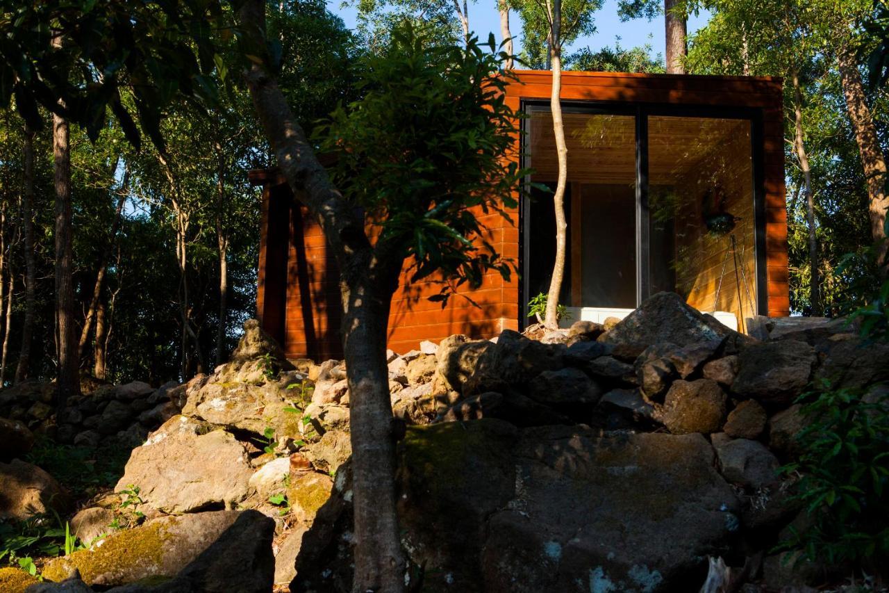 Biscoitos  Caparica Azores Ecolodge מראה חיצוני תמונה