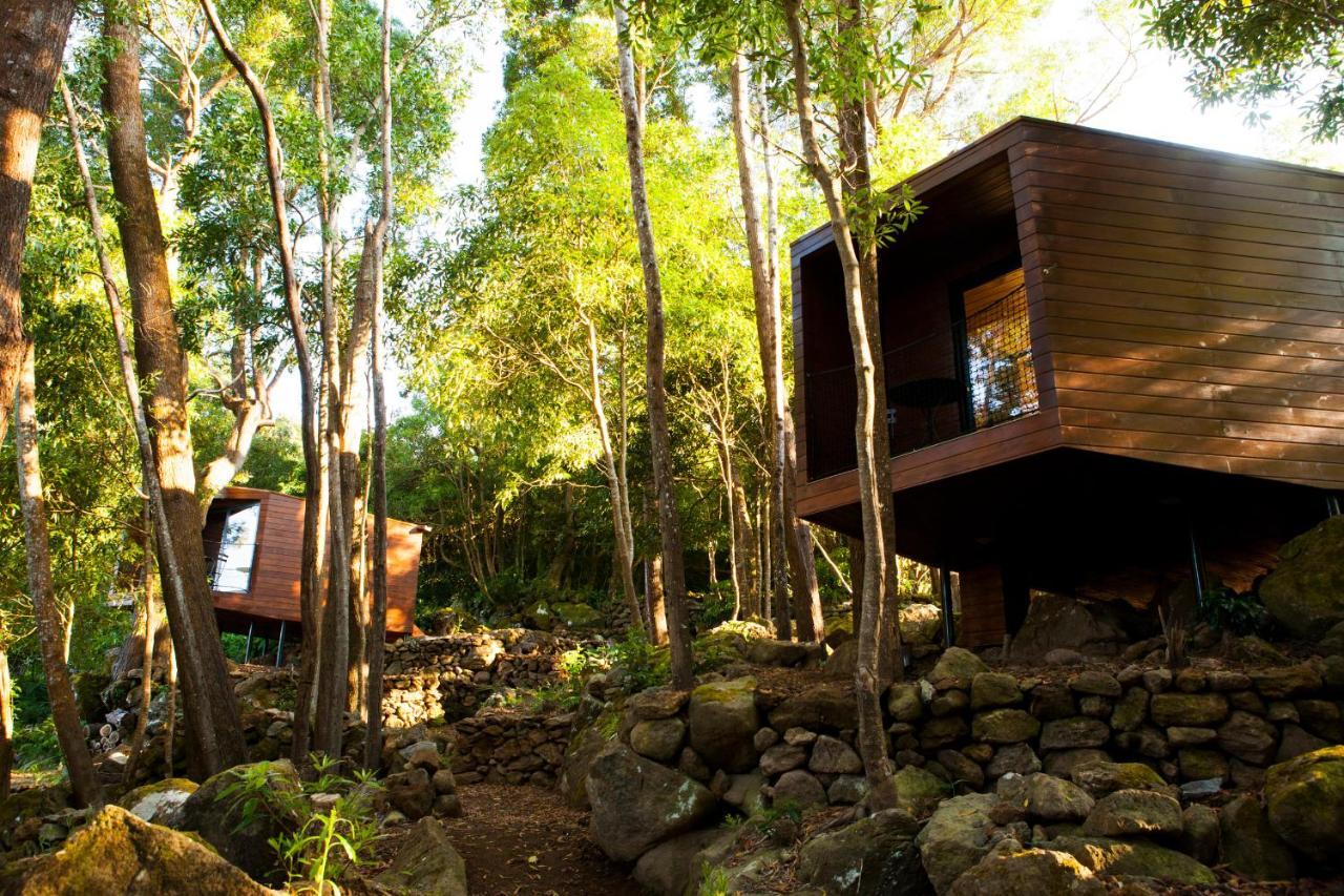 Biscoitos  Caparica Azores Ecolodge מראה חיצוני תמונה